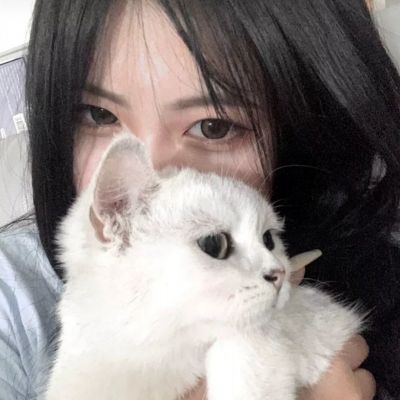 玉兔超变版手游下载