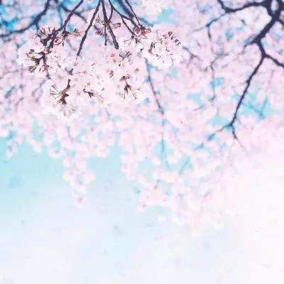 梦西游卡牌游戏下载