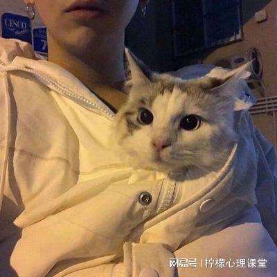 暗影城6迷失之地游戏